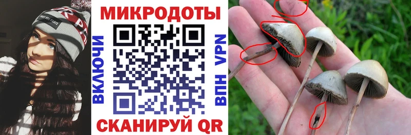 Псилоцибиновые грибы GOLDEN TEACHER  MEGA   Чкаловск  наркота 